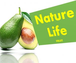 Nature Life Fruit